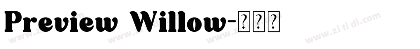 Preview Willow字体转换